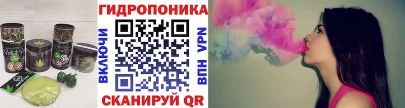 магазин    Починок  Печенье с ТГК марихуана 