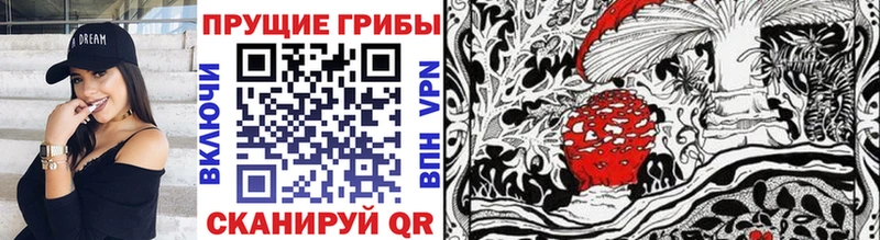 Галлюциногенные грибы Cubensis  где купить наркотик  Починок 